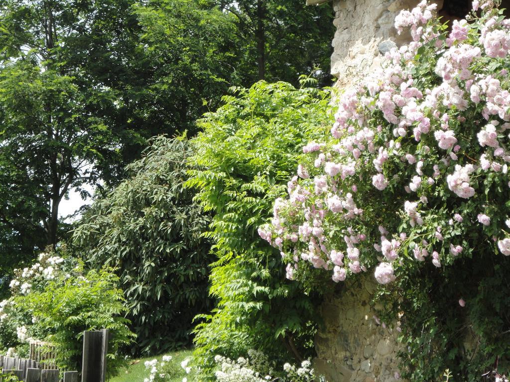 Un Gite De Charme En Haute Provence Βίλα Sigoyer  Δωμάτιο φωτογραφία