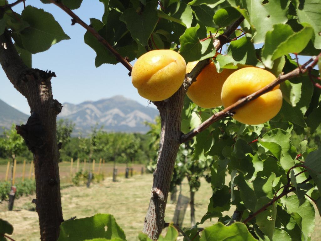 Un Gite De Charme En Haute Provence Βίλα Sigoyer  Δωμάτιο φωτογραφία