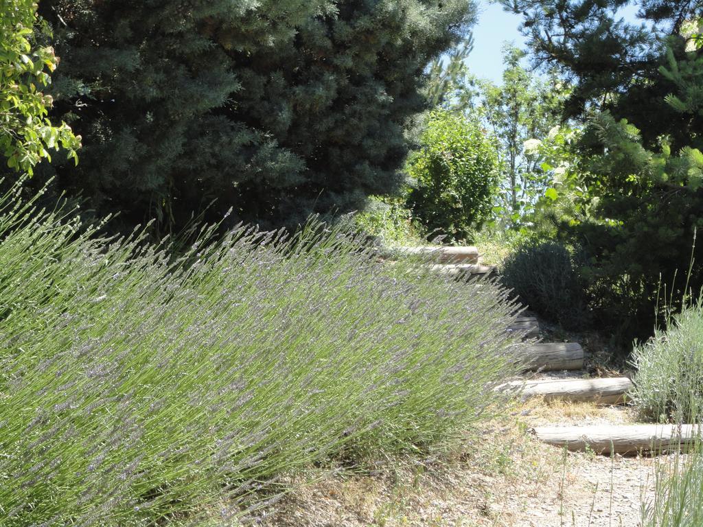Un Gite De Charme En Haute Provence Βίλα Sigoyer  Δωμάτιο φωτογραφία