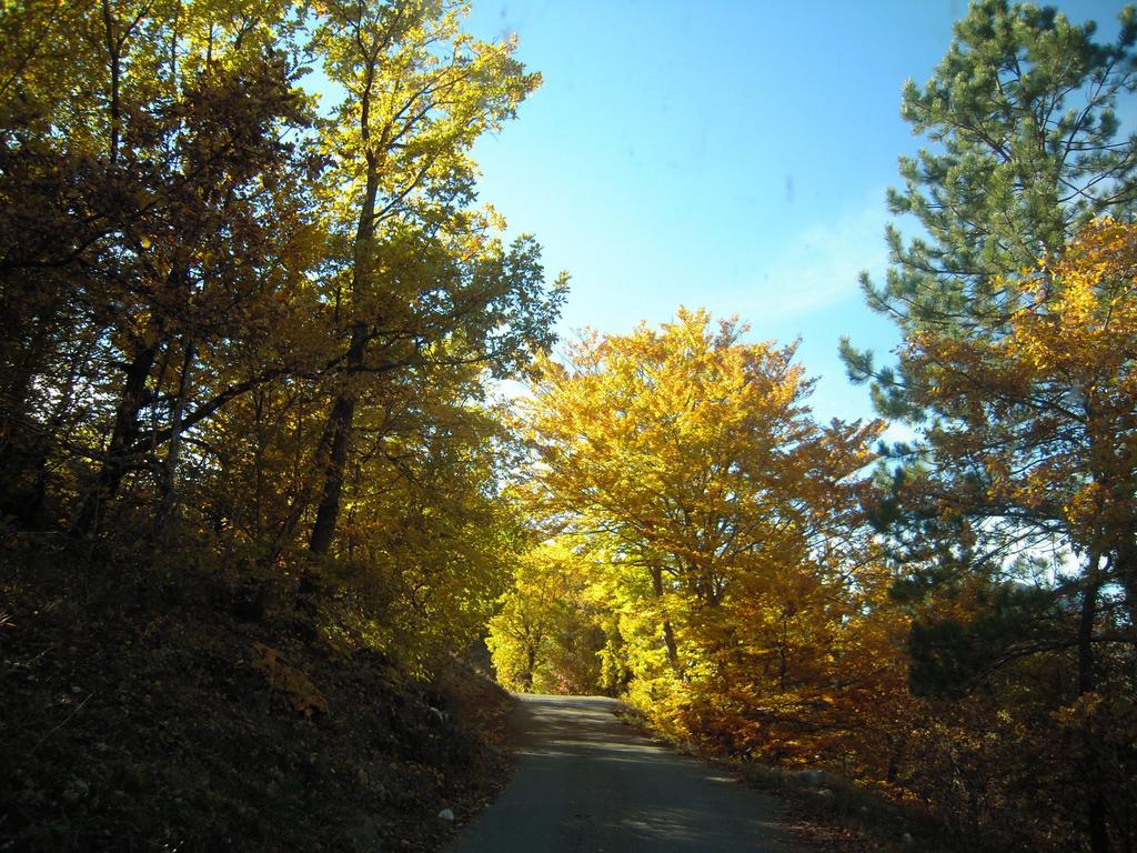 Un Gite De Charme En Haute Provence Βίλα Sigoyer  Δωμάτιο φωτογραφία